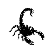 Young Miko Official Store logo